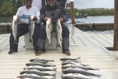 Charlie Roberts, LaRoy Taylor, John Baker & Thomas Gleason - Lk Murray Stripers
