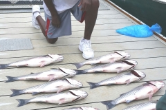 Baker at Lake Murray 1 (2)